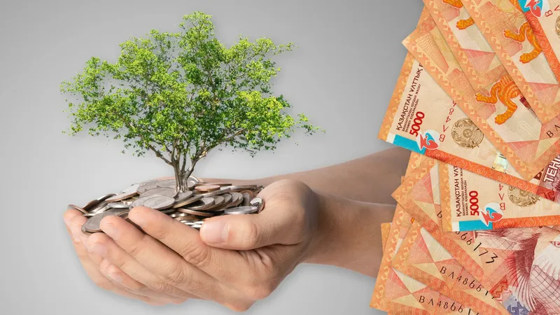 Жетісу облысында кәсіпкерге қоқыс өңдейтін зауыт салу үшін жер заңсыз берілген