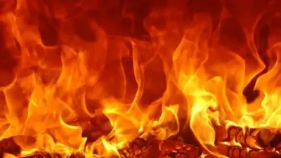 Өрт, Алматы, жеке тұрғын үй, Ремизовка, бау-бақша серіктестігі, сурет - Zakon.kz жаңалық 25.06.2025 18:48