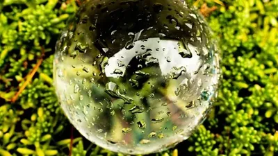 Бұршақ, ауа райы болжамы, 26 маусым, Қазақстан, сурет - Zakon.kz жаңалық 25.06.2025 21:01