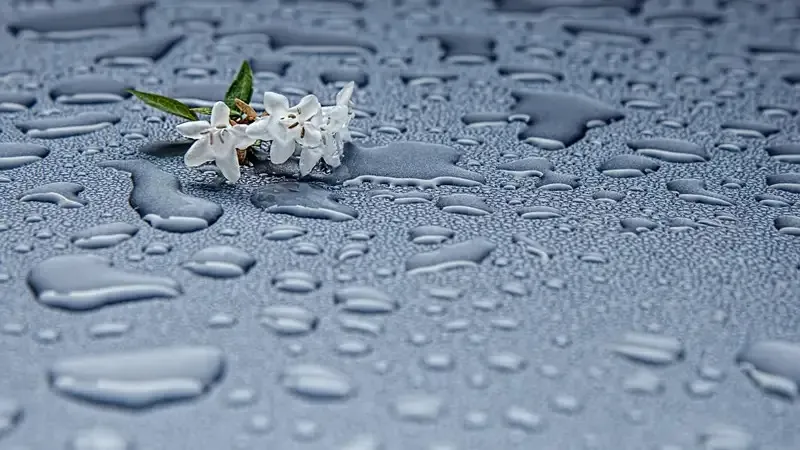 Сенбіде еліміздің басым бөлігінде дауылды ескерту жарияланды