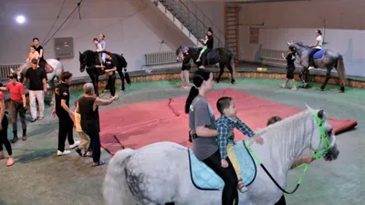 Алматыда БЦП, Даун синдромы және аутизммен ауыратын балалар Қазақ мемлекеттік циркі базасында тегін иппотерапия курсынан өтуге мүмкіндік алды. Бұл жайында қаланың Мәдениет басқармасы мәлімдеді., сурет - Zakon.kz жаңалық 27.06.2025 16:29