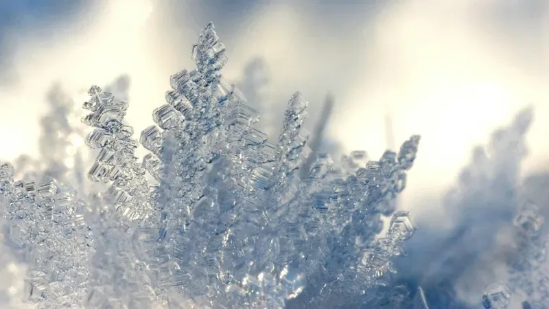 Әлемдегі ең құрғақ шөлге қар жауды