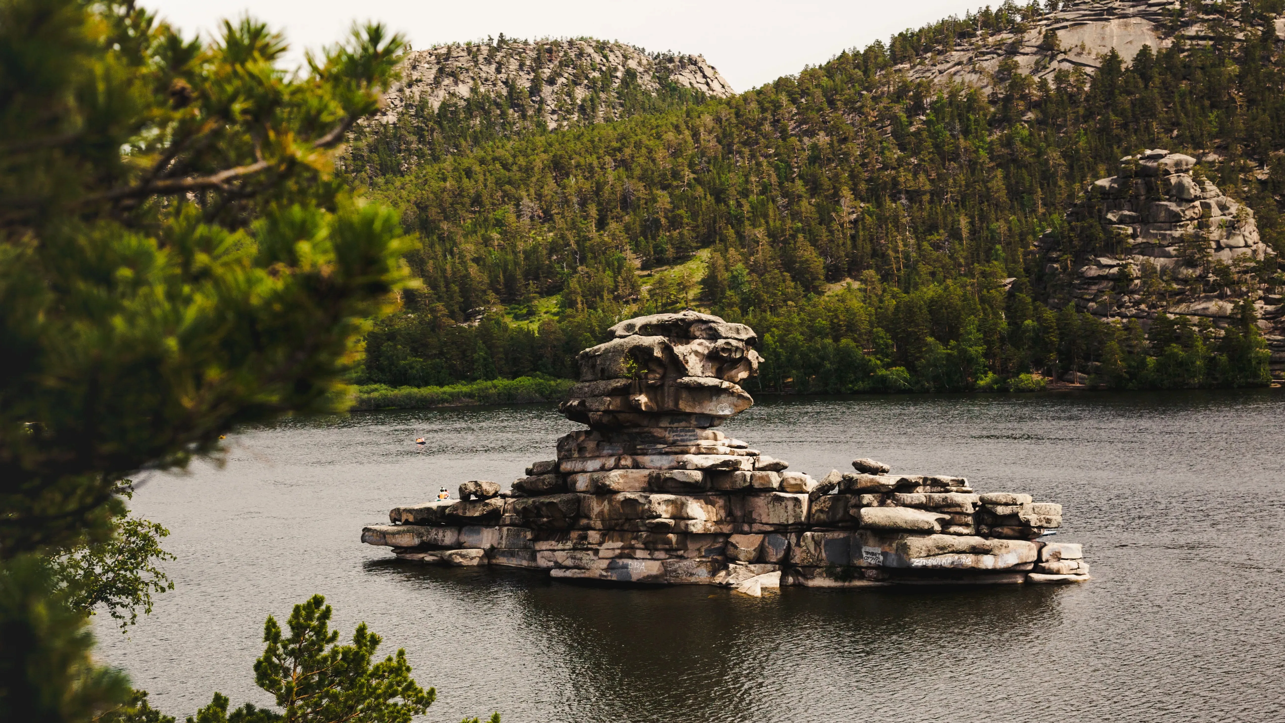 әйелдің қынапшасындағы ит түйіні