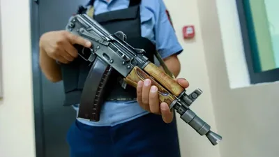 Қару, Азаматтық қару, қызметтік қару, рұқсат құжат, электрондық үкімет порталы , сурет - Zakon.kz жаңалық 02.07.2025 18:59