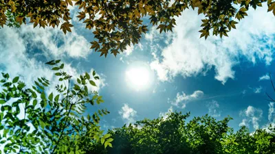 +46°С-қа дейінгі ыстық, шаңды дауыл және нөсер жауын: елдің қай өңірлерінде ескерту жасалды, сурет - Zakon.kz жаңалық 03.07.2025 20:31