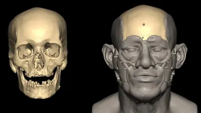 Археологтар ежелгі мысырлықтың жақсы сақталған қаңқасын тапты, сурет - Zakon.kz жаңалық 03.07.2025 11:19