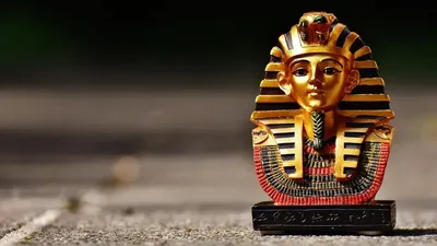 Маңғыстаулық перғауын: мерейтойын ерекше атап өткен ер адам желіде қызу талқыға түсті, сурет - Zakon.kz жаңалық 04.07.2025 14:00