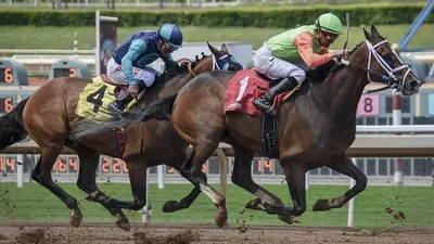 Спорттық жылқыларды пайдалану оларды азықтандыру және өнімділігін (демалысын) қалпына келтіру үшін үзілістермен жүзеге асырылады.  Спорттық жылқыларды спорттық іс-шаралар өтетін жерге тасымалдау Жануарларды тасымалдау ережесіне сәйкес жүзеге асырылады.  Бұйрық 2025 жылғы 20 шілдеде күшіне енеді.  Қазақстанда спорттық-бұқаралық іс-шаралардың бірыңғай күнтізбесін қалыптастырудың жаңа ережесі бекітілгенін хабарлаған едік., сурет - Zakon.kz жаңалық 10.07.2025 12:08