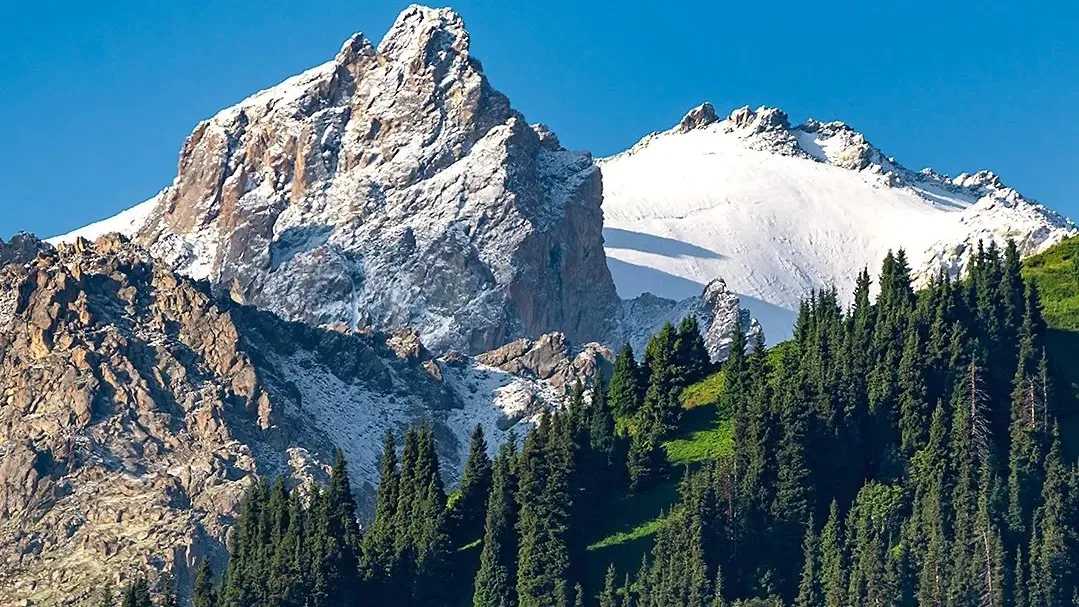 Лоликон порно видеолары