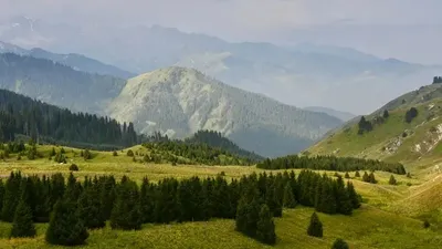 Алматы тауларында турист 3 400 метр биіктікте аяғын жарақаттап алды, сурет - Zakon.kz жаңалық 15.07.2025 21:58