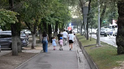 Алматы әкімі Дархан Сатыбалды Абай даңғылынан Әл-Фараби даңғылына дейінгі Достық даңғылы учаскесіндегі кешенді абаттандыру жұмыстарының барысымен танысты., сурет - Zakon.kz жаңалық 17.07.2025 09:33