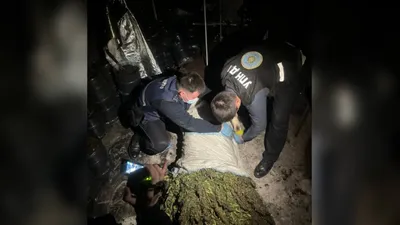 Атырау облысы полиция департаментінің есірткі қылмысына қарсы іс-қимыл басқармасы жедел-іздестіру шарасы кезінде қарасора өсірген және кептірілген өсімдік заттарын сақтаған 40 жастағы қала тұрғынын ұстады., сурет - Zakon.kz жаңалық 18.07.2025 13:10