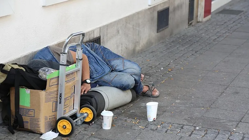 БҰҰ: Әлемде үйсіз жандардың саны 300 млн-нан асты