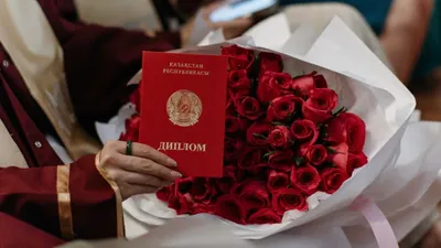 Министрлік "дипломды сатып алу" туралы жарнамаларға қатысты түсінік берді, сурет - Zakon.kz жаңалық 24.07.2025 21:10