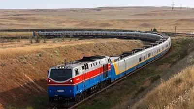 Теміржол – жайылым емес: Қазақстанда мал иелері жауапқа тартылып жатыр, сурет - Zakon.kz жаңалық 24.07.2025 21:33