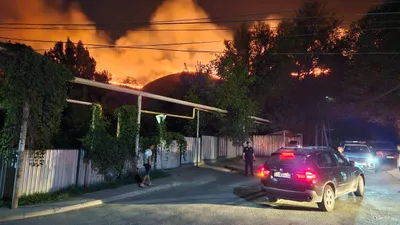 Өрт, Алматы, тау баурайы, Кеңсай, зират, сурет - Zakon.kz жаңалық 25.07.2025 21:30