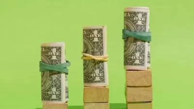 Қаржы пирамидасы, ҚМА, Шымкент, Mooni Gold , сурет - Zakon.kz жаңалық 25.07.2025 17:13