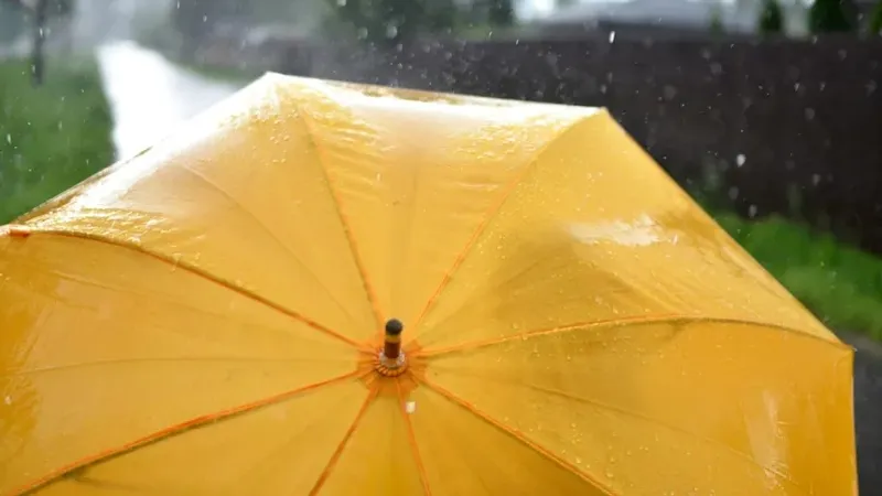 "Жаңбыр жауады". Алматы бойынша алдағы бір аптаға арналған ауа райы болжамы