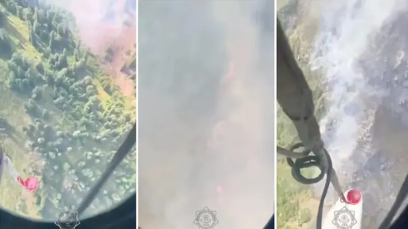 Жетісу облысында Көкмойын шатқалында өрт болып жатыр