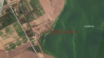 Алматы облысы, Сорбұлақ, жоғалған тікұшақ, қалдықтар, табылды, сурет - Zakon.kz жаңалық 26.07.2025 10:43