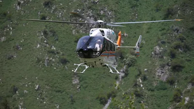 Қатонқарағай ұлттық паркі демалушылар үшін жабылды, сурет - Zakon.kz жаңалық 28.07.2025 18:37