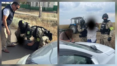 Батыс Қазақстан облыстық полиция департаментінің криминалдық полиция басқармасы қызметкерлері Бөкей орда және Тасқала аудандарының полиция бөлімдерімен бірлесіп жүргізген жедел-іздестіру іс-шараларының нәтижесінде мал ұрлығымен айналысқан төрт адам ұсталды. , сурет - Zakon.kz жаңалық 29.07.2025 15:16