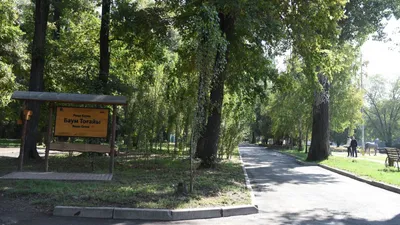 Алматы әкімдігі қаланың жасыл желек қорын сақтау мен дамытуға әлеуметтік жауапты бизнесті тарту бағытындағы жұмысты жүйелі түрде жалғастырып келеді. Осы жолы мегаполисте ең маңызды табиғи нысандардың бірі Баум атындағы тоғайды абаттандыру жобасы қолға алынды. , сурет - Zakon.kz жаңалық 29.07.2025 09:03