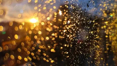 Жаңбыр, ауа райы болжамы, Астана, Алматы, Шымкент, 30 шілде, 31 шіле, 1 тамыз, сурет - Zakon.kz жаңалық 29.07.2025 17:58