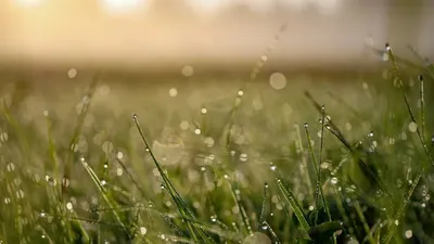 Жаңбыр, ауа райы болжамы, 30 шілде, дауылды ескерту, Қазақстан, сурет - Zakon.kz жаңалық 29.07.2025 22:01