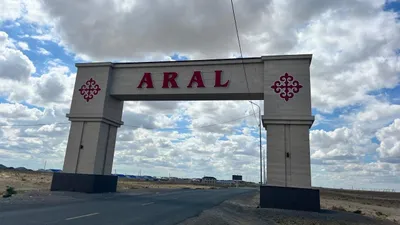 Арал, Таза Қазақстан, экологиялық жобасы  , сурет - Zakon.kz жаңалық 30.07.2025 17:58