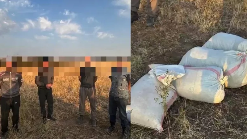 Жамбыл облысында көлік сақшылары бір топ адамнан алты қап марихуана тәркіледі