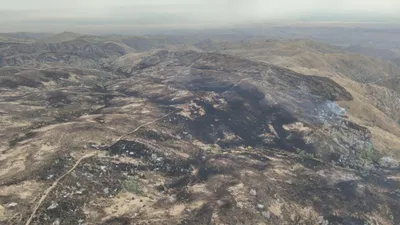 Өрт, Жамбыл облысы, шекара, Қырғызстан, сурет - Zakon.kz жаңалық 31.07.2025 18:58