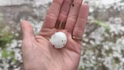 Бұршақ, 1 тамыз, ауа райы болжамы, Қазақстан, сурет - Zakon.kz жаңалық 31.07.2025 19:30