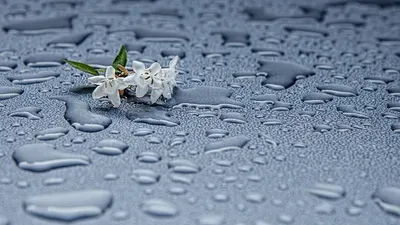 Жаңбыр, ауа райы болжамы, 1 тамыз, Қазақстан, дауылды ескерту, сурет - Zakon.kz жаңалық 31.07.2025 22:57