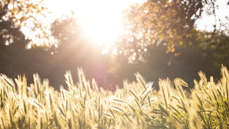 Жаңбыр тоқтап, қайтадан аптап ыстық болады: 2 тамызға арналған ауа райы болжамы