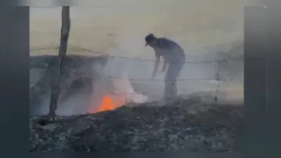 Түркістан облысында алма бағында өрт шықты, сурет - Zakon.kz жаңалық 02.08.2025 14:14