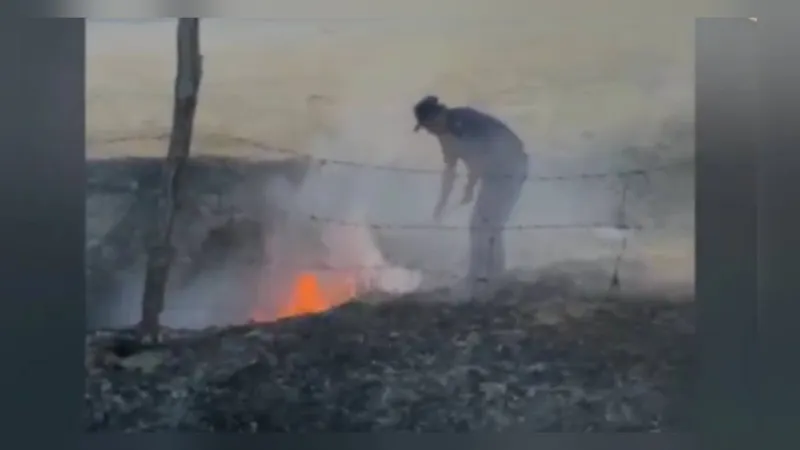 Түркістан облысында алма бағында өрт шықты