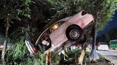 Алматыда Chrysler көлігімен ағашқа соғылған бойжеткен ауруханаға жеткізілді, сурет - Zakon.kz жаңалық 02.08.2025 12:40