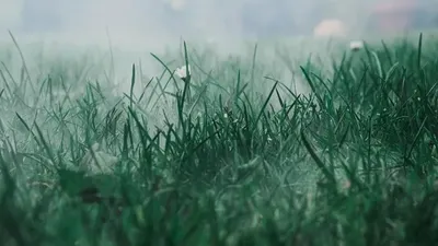 Тұман, ауа райы болжамы, 5 тамыз, дауылды ескерту, Қазақстан, сурет - Zakon.kz жаңалық 04.08.2025 22:53