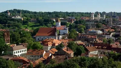 Литва, үкімет, премьер-министр, отставка,  Гинтаутас Палуцкас, сурет - Zakon.kz жаңалық 04.08.2025 19:57