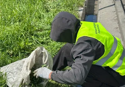 Отбасының берекесін кетірген екі ер адам Өскеменде қоғамдық жұмыстарға жегілді, сурет - Zakon.kz жаңалық 06.08.2025 14:58