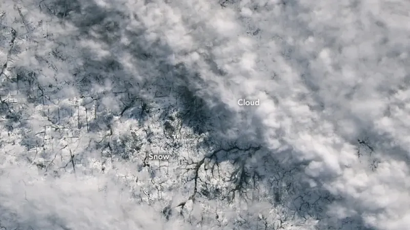 Жерсерік Австралияда жауып тұрған сирек қарды түсірді