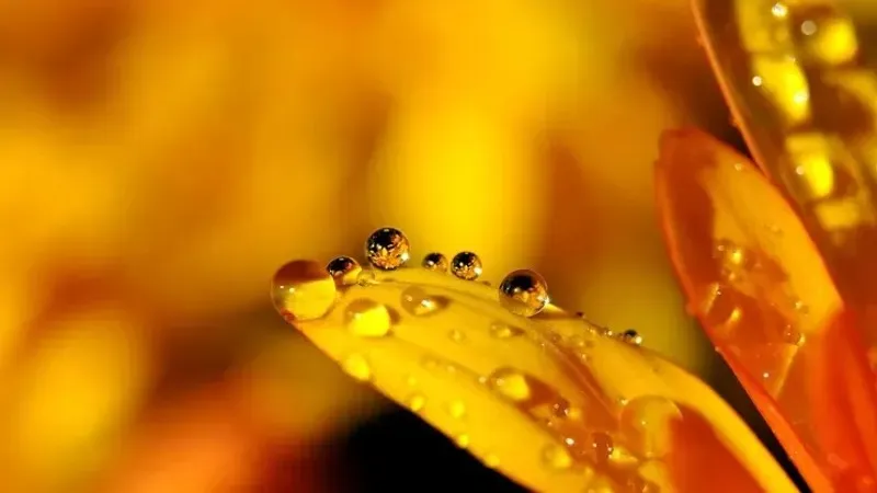 9 тамызда еліміздің басым бөлігінде күн райы бұзылып, нөсер жаңбыр жауатыны болжанады