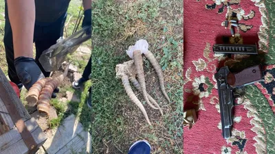 Киік мүйіздері, Батыс Қазақстан облысы, заңсыз қару, тәркілеу, сурет - Zakon.kz жаңалық 08.08.2025 19:52