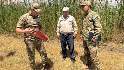 ТЖМ қазақстандықтарға маңызды ескерту жасады, сурет - Zakon.kz жаңалық 09.08.2025 12:41