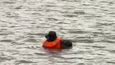 Жайық өзенінде ер адам суға батып кете жаздады, сурет - Zakon.kz жаңалық 09.08.2025 22:16