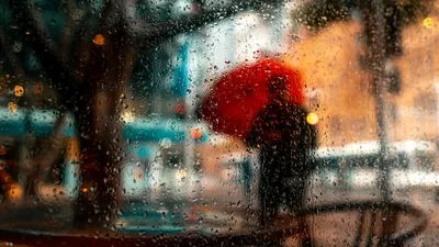 16 тамызда қай өңірлерде нөсер жауады, сурет - Zakon.kz жаңалық 15.08.2025 18:20