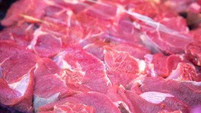 Қазақстаннан Түркіменстанға жеткізілген еттен бруцеллез табылғаны рас па, сурет - Zakon.kz жаңалық 17.08.2025 20:22