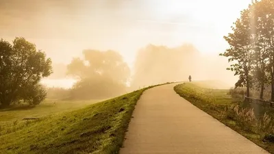 Тұман, ауа райы болжамы, 19 тамыз, дауылды ескерту, Қазақстан, сурет - Zakon.kz жаңалық 18.08.2025 22:56