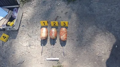 ШҚО-да колонияға есірткі тасымалдаудың жолы кесілді: күдікті қылмыс үстінде ұсталды, сурет - Zakon.kz жаңалық 19.08.2025 20:40